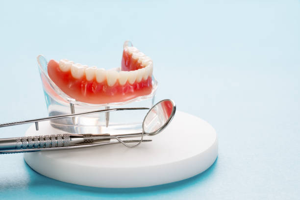 Best Pediatric Dentistry  in Cresaptown, MD